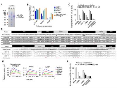 Engineering of Humanized Antibodies Against Human Interleukin 5 Receptor Alpha Subunit That Cause Potent Antibody-Dependent Cell-Mediated Cytotoxicity